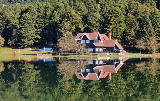 WhatsApp Image 2026-02-20 at 16.01.50 (6)